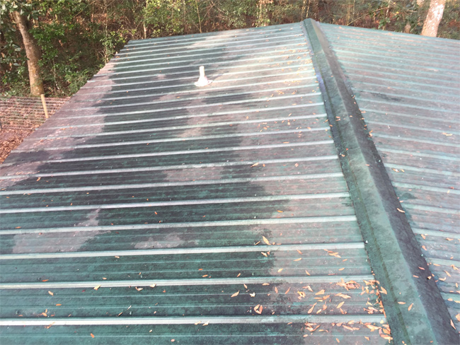 roof-cleaning-before-after